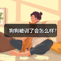 狗狗被训了会怎么样?(图3) 狗狗被训了会怎么样?(图2)