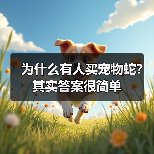 为什么有人买宠物蛇？其实答案很简单(图1)