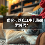 猫咪可以吃江中乳酸菌素片吗?(图1) 猫咪可以吃江中乳酸菌素片吗?(图1)