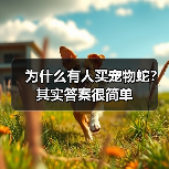 为什么有人买宠物蛇？其实答案很简单(图3)