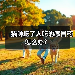 猫咪吃了人吃的感冒药怎么办?(图4) 猫咪吃了人吃的感冒药怎么办?(图3)