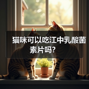 猫咪可以吃江中乳酸菌素片吗?(图3) 猫咪可以吃江中乳酸菌素片吗?(图3)