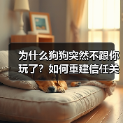 为什么狗狗突然不跟你玩了?如何重建信任关系?(图1) 为什么狗狗突然不跟你玩了?如何重建信任关系?(图1)