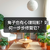 兔子也有心理阴影?如何一步步修复它?(图1) 兔子也有心理阴影?如何一步步修复它?(图1)