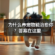 为什么养宠物能治愈你?答案在这里(图2) 为什么养宠物能治愈你?答案在这里(图2)
