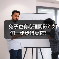 兔子也有心理阴影?如何一步步修复它?(图3) 兔子也有心理阴影?如何一步步修复它?(图3)