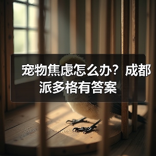 宠物焦虑怎么办?成都派多格有答案(图3) 宠物焦虑怎么办?成都派多格有答案(图3)