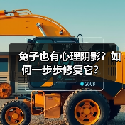 兔子也有心理阴影?如何一步步修复它?(图4) 兔子也有心理阴影?如何一步步修复它?(图4)
