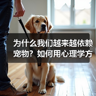 为什么我们越来越依赖宠物？如何用心理学方法获得情绪价值(图3)