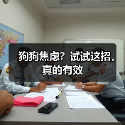 狗狗焦虑?试试这招,真的有效(图4) 狗狗焦虑?试试这招,真的有效(图2)