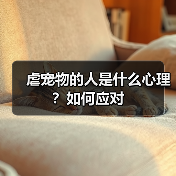 虐宠物的人是什么心理？如何应对(图2)