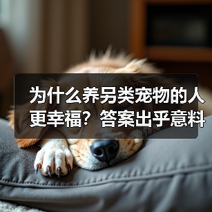 为什么养另类宠物的人更幸福?答案出乎意料(图4) 为什么养另类宠物的人更幸福?答案出乎意料(图4)