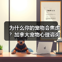 为什么你的宠物会焦虑?加拿大宠物心理咨询师教你如何解决(图3) 为什么你的宠物会焦虑?加拿大宠物心理咨询师教你如何解决(图3)
