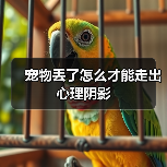 宠物丢了怎么才能走出心理阴影(图2) 宠物丢了怎么才能走出心理阴影(图2)