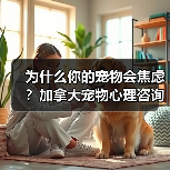 为什么你的宠物会焦虑?加拿大宠物心理咨询师教你如何解决(图4) 为什么你的宠物会焦虑?加拿大宠物心理咨询师教你如何解决(图4)
