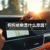 狗狗咳嗽是什么原因?(图2) 狗狗咳嗽是什么原因?(图2)