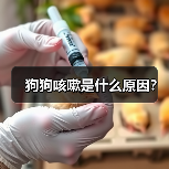 狗狗咳嗽是什么原因?(图4) 狗狗咳嗽是什么原因?(图4)