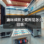 猫咪频繁上厕所是怎么回事?(图1) 猫咪频繁上厕所是怎么回事?(图1)