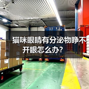 猫咪眼睛有分泌物睁不开眼怎么办?(图1) 猫咪眼睛有分泌物睁不开眼怎么办?(图1)