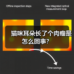 猫咪耳朵长了个肉瘤是怎么回事?(图2) 猫咪耳朵长了个肉瘤是怎么回事?(图2)