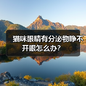 猫咪眼睛有分泌物睁不开眼怎么办?(图4) 猫咪眼睛有分泌物睁不开眼怎么办?(图4)