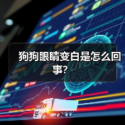狗狗眼睛变白是怎么回事?(图2) 狗狗眼睛变白是怎么回事?(图2)