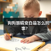 狗狗眼睛变白是怎么回事?(图3) 狗狗眼睛变白是怎么回事?(图3)