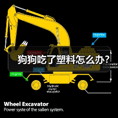 狗狗吃了塑料怎么办?(图1) 狗狗吃了塑料怎么办?(图1)