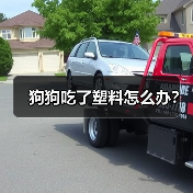 狗狗吃了塑料怎么办?(图2) 狗狗吃了塑料怎么办?(图2)
