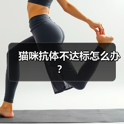 猫咪抗体不达标怎么办?(图4) 猫咪抗体不达标怎么办?(图4)