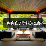狗狗吃了塑料怎么办?(图3) 狗狗吃了塑料怎么办?(图3)