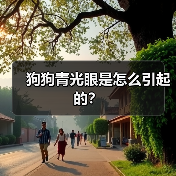 狗狗青光眼是怎么引起的？(图1)