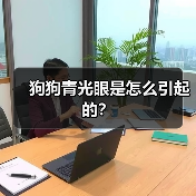 狗狗青光眼是怎么引起的？(图4)