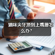 猫咪尖牙顶到上嘴唇怎么办？(图3)