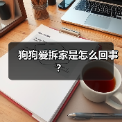 狗狗爱拆家是怎么回事？(图4)