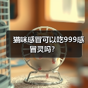 猫咪感冒可以吃999感冒灵吗?(图1) 猫咪感冒可以吃999感冒灵吗?(图1)