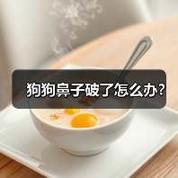 狗狗鼻子破了怎么办?(图2) 狗狗鼻子破了怎么办?(图2)
