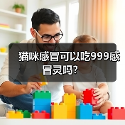 猫咪感冒可以吃999感冒灵吗?(图2) 猫咪感冒可以吃999感冒灵吗?(图2)