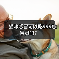 猫咪感冒可以吃999感冒灵吗?(图3) 猫咪感冒可以吃999感冒灵吗?(图3)