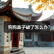 狗狗鼻子破了怎么办?(图3) 狗狗鼻子破了怎么办?(图3)