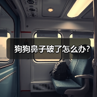 狗狗鼻子破了怎么办?(图4) 狗狗鼻子破了怎么办?(图4)