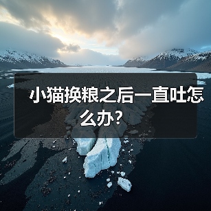 小猫换粮之后一直吐怎么办？(图3)