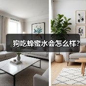 狗吃蜂蜜水会怎么样？(图4)