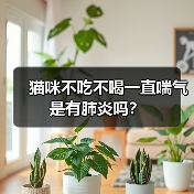 猫咪不吃不喝一直喘气是有肺炎吗?(图1) 猫咪不吃不喝一直喘气是有肺炎吗?(图1)