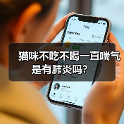 猫咪不吃不喝一直喘气是有肺炎吗?(图2) 猫咪不吃不喝一直喘气是有肺炎吗?(图2)