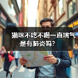 猫咪不吃不喝一直喘气是有肺炎吗?(图3) 猫咪不吃不喝一直喘气是有肺炎吗?(图3)