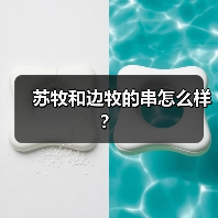 苏牧和边牧的串怎么样?(图4) 苏牧和边牧的串怎么样?(图4)