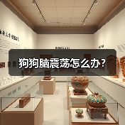 狗狗脑震荡怎么办？