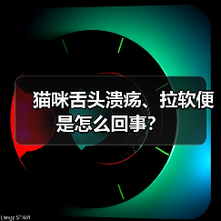 猫咪舌头溃疡、拉软便是怎么回事?(图2) 猫咪舌头溃疡、拉软便是怎么回事?(图1)