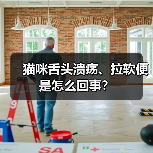猫咪舌头溃疡、拉软便是怎么回事?(图3) 猫咪舌头溃疡、拉软便是怎么回事?(图2)